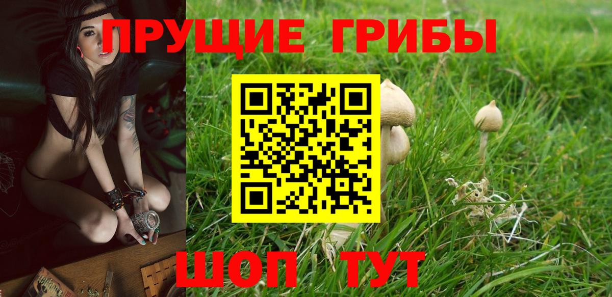 Псилоцибиновые грибы MAGIC MUSHROOMS  Галлюциногенные грибы мухоморы  Мелеуз  Вход с VPN 